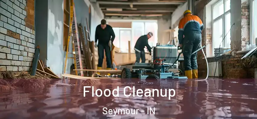  Flood Cleanup Seymour - IN