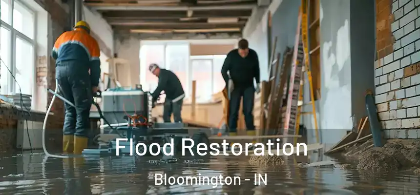  Flood Restoration Bloomington - IN