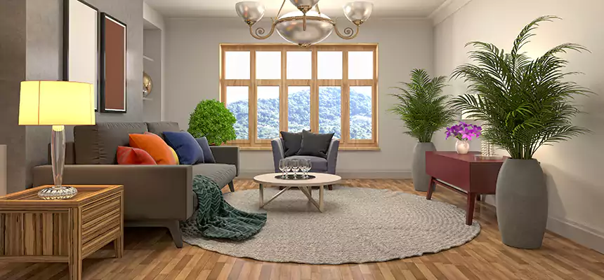 Local Water Mitigation in Centerville