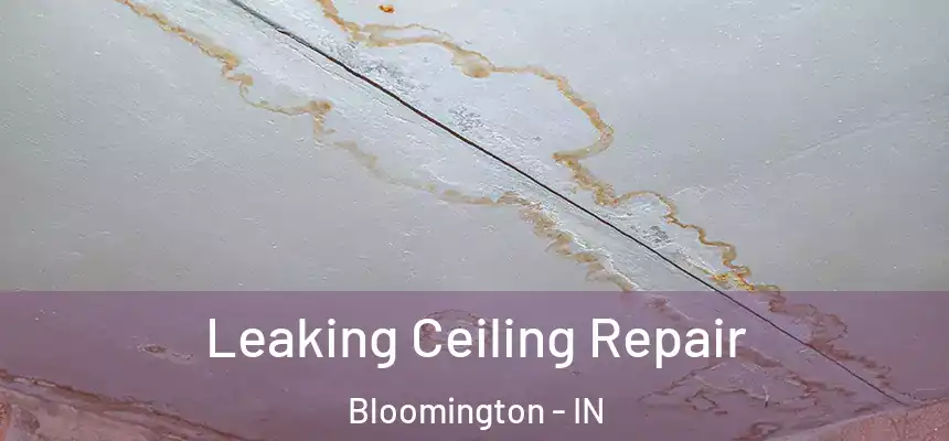  Leaking Ceiling Repair Bloomington - IN