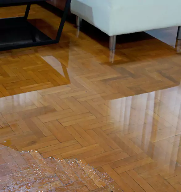 Trusted Emergency Water Restoration Company in Bainbridge, IN