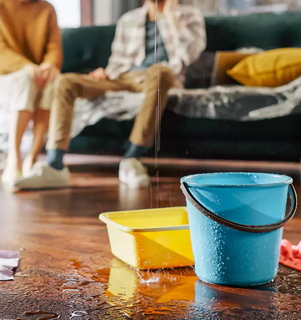 Trusted Water Mitigation Company in Bloomfield, IN