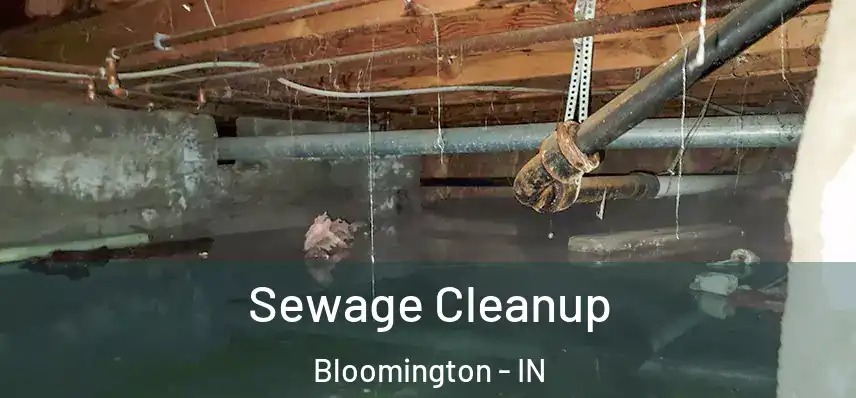  Sewage Cleanup Bloomington - IN