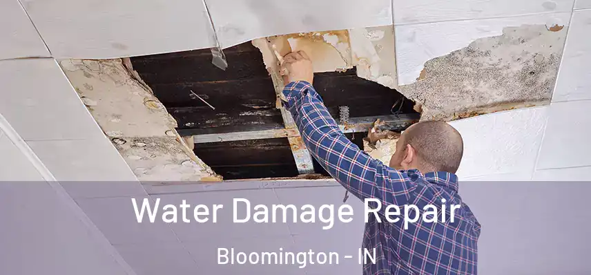  Water Damage Repair Bloomington - IN