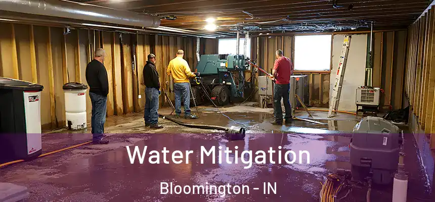 Water Mitigation Bloomington - IN