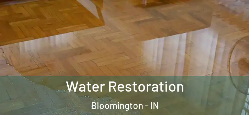  Water Restoration Bloomington - IN